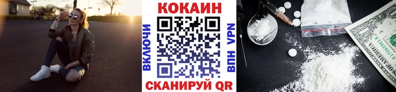 Купить закладки  Великий Устюг  Cocaine FishScale 