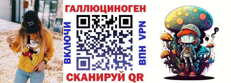 Купить  Великий Устюг  Галлюциногенные грибы Cubensis 