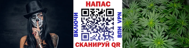 Купить  Великий Устюг  Каннабис марихуана 